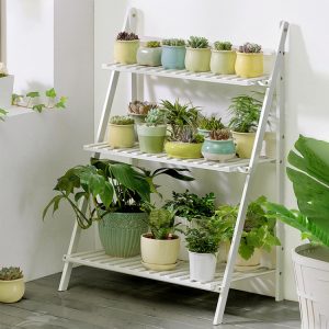 Vibrant indoor and outdoor potted plants displayed on white wooden plant rack with multiple shelves, ideal for home gardening, plant organization, and decor.