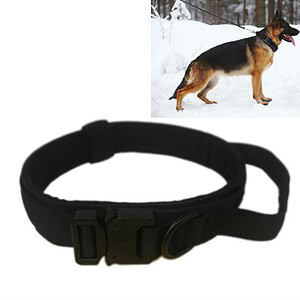Adjustable black dog collar with secure buckle for outdoor activities in snow environments. Perfect for training, walking, and ensuring safety during winter walks with your German Shepherd.
