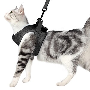 Pet harness for cats, adjustable black cat harness with leash attachment, comfortable and secure, ideal for outdoor walks, made from durable materials, perfect for pet owners, Syndmart pet accessories.