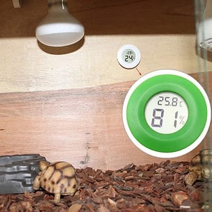 Digital thermometer and humidity gauge displaying temperature and humidity levels in a terrarium with a tortoise.
